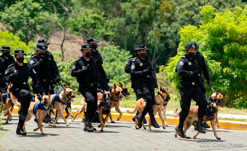 doep-tecnica-canina-curso